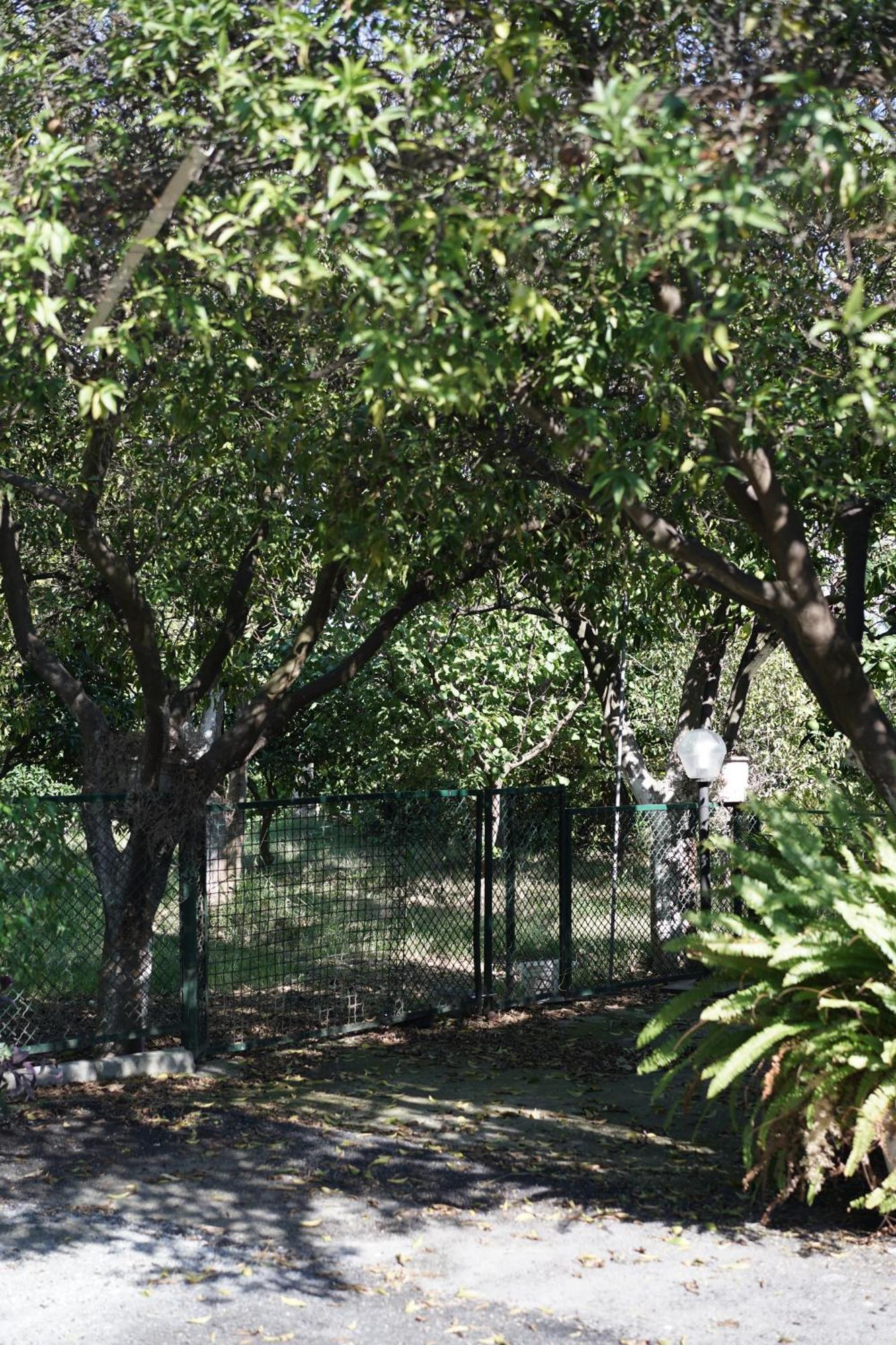 Petrarca Dream Holiday home