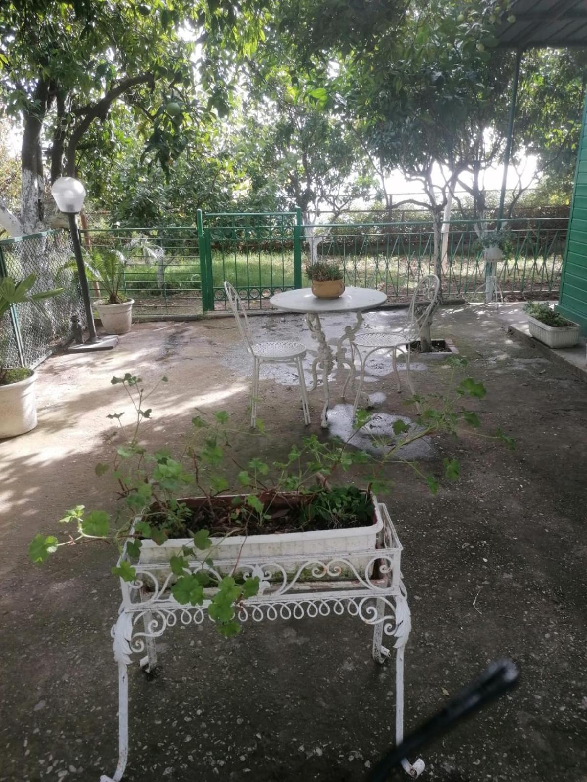 Holiday home Petrarca Dream *